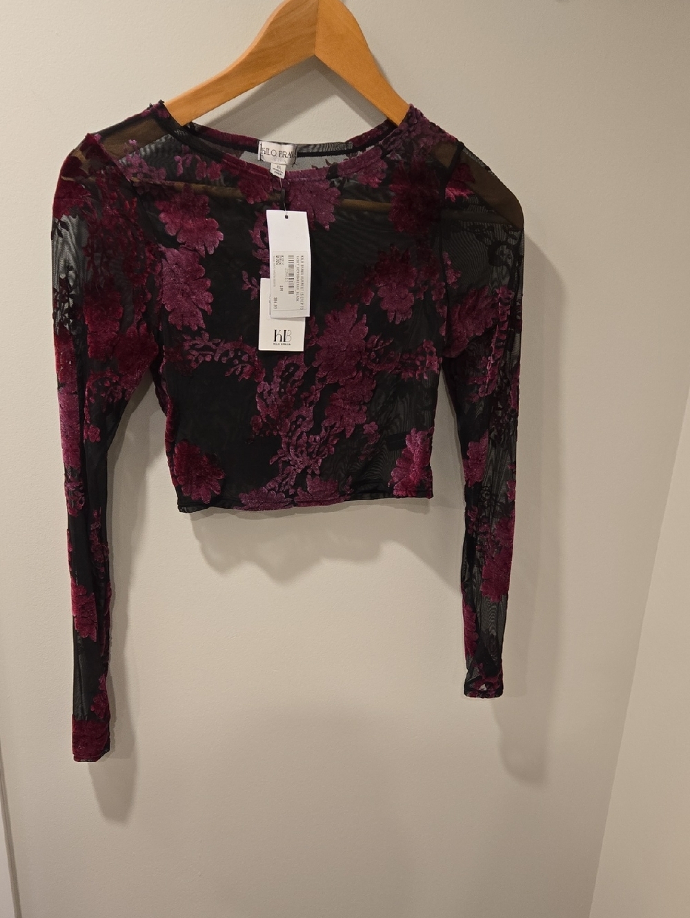 Sheer And Velvet Crop Top